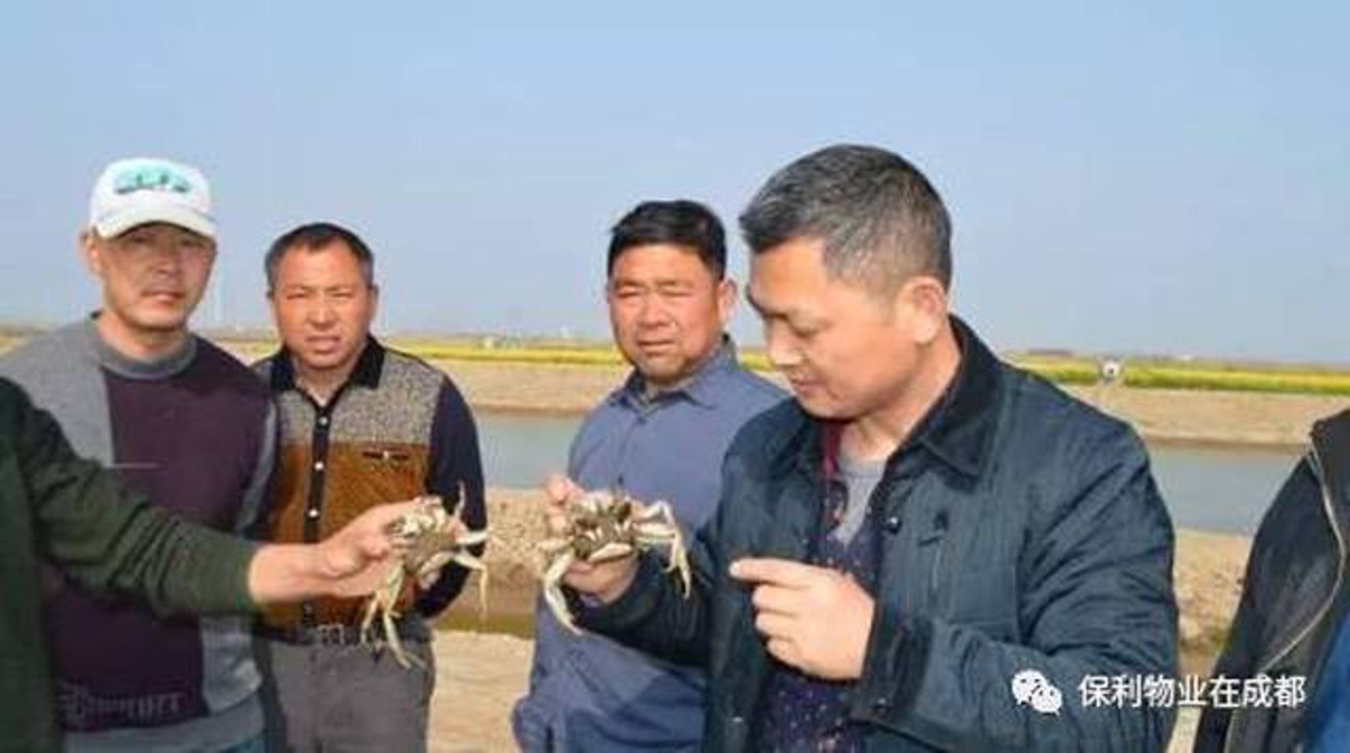 永杰大闸蟹